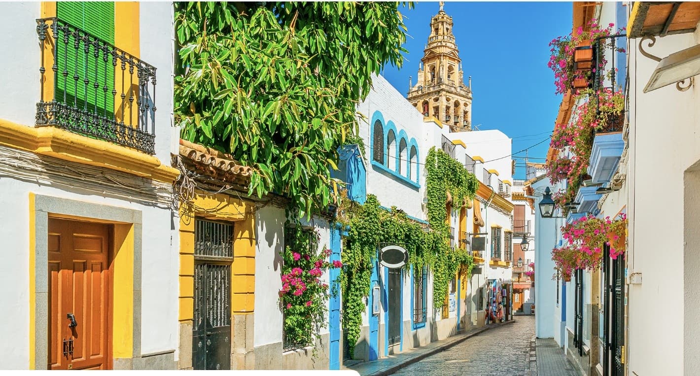 Walking Tour of Seville with Camaleon Tours