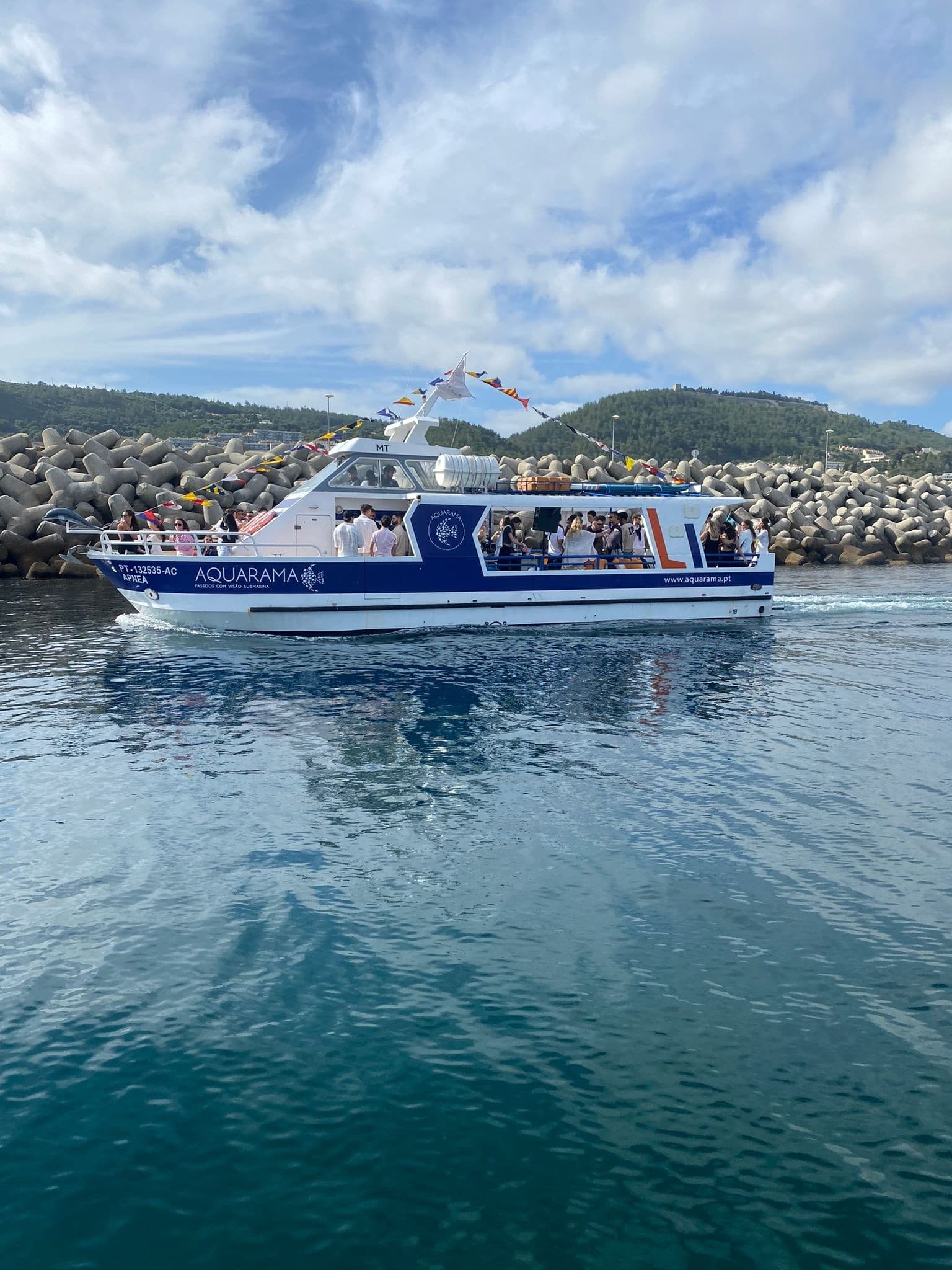 Submerged Views: APNEA Coastal Boat Tour from Sesimbra to Arrábida