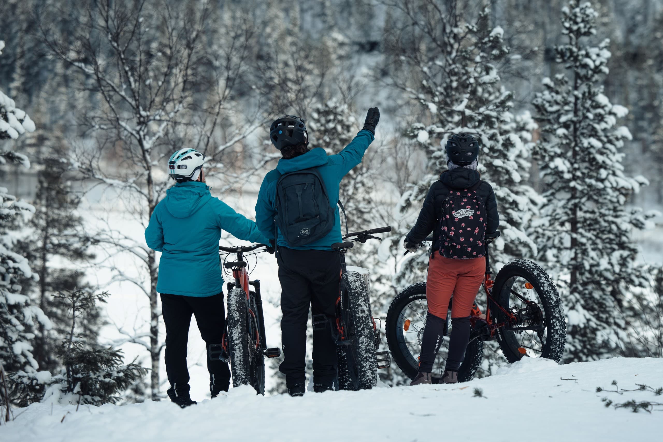 E-Fatbike Through Lapland's White Forests: Sirkka Snow Ride photo 4