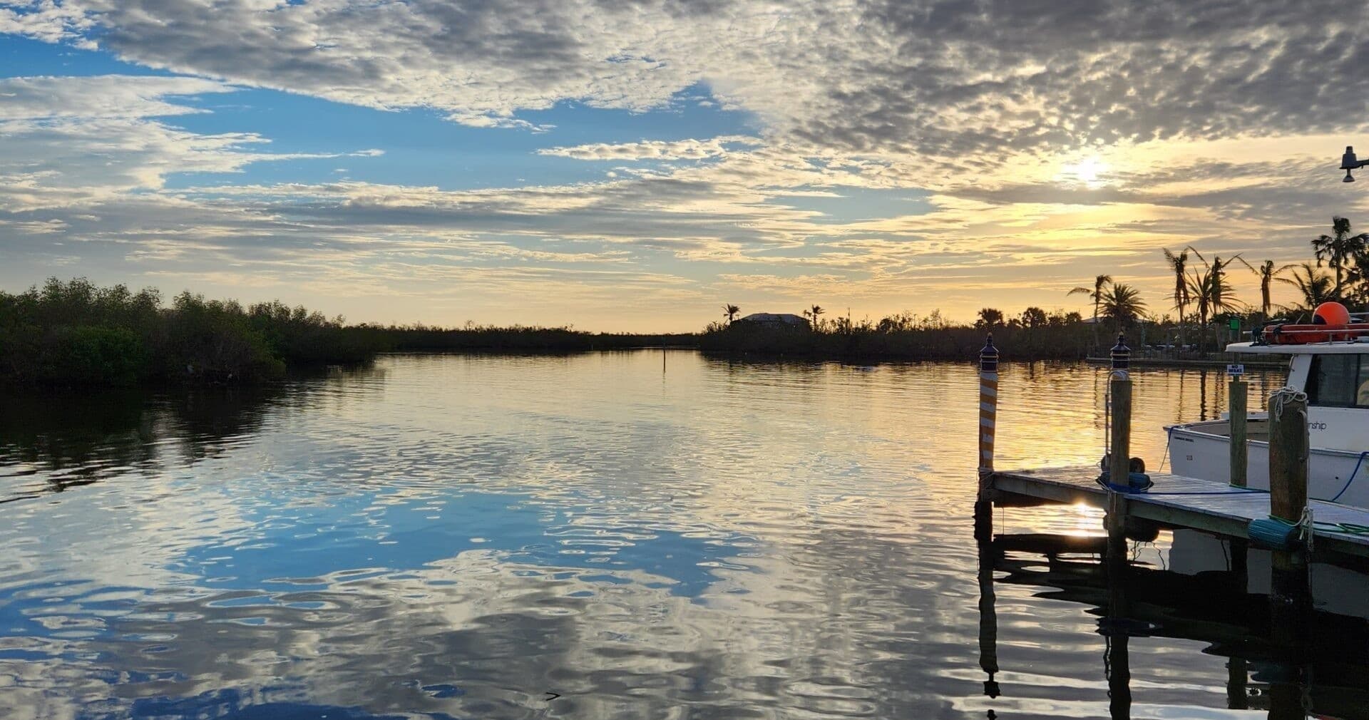 Kayak Eco Tours with Carmen's Kayaks LLC in Bokeelia