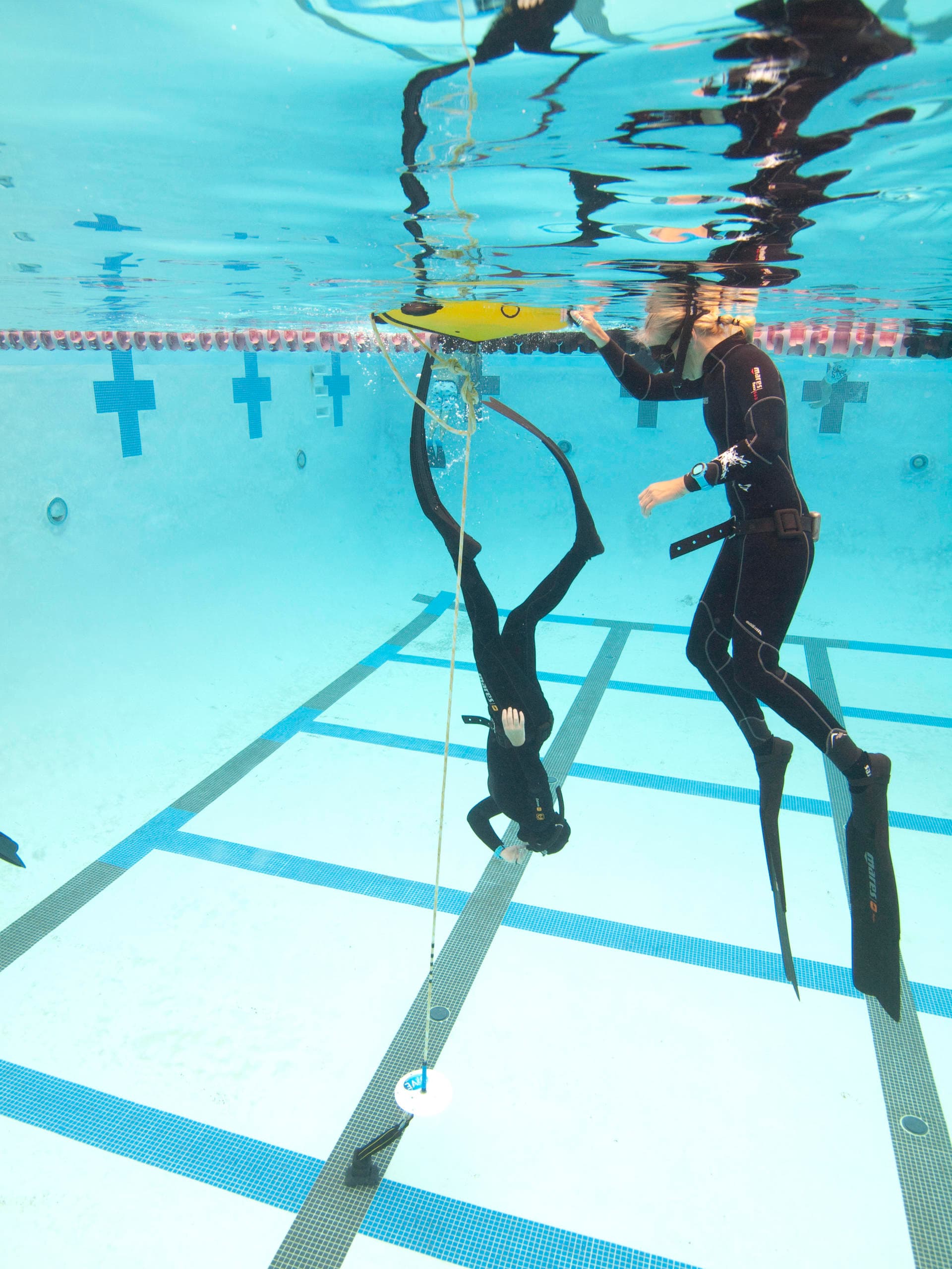 Master the Depths: Your Ultimate PADI Freediver Course in San Diego