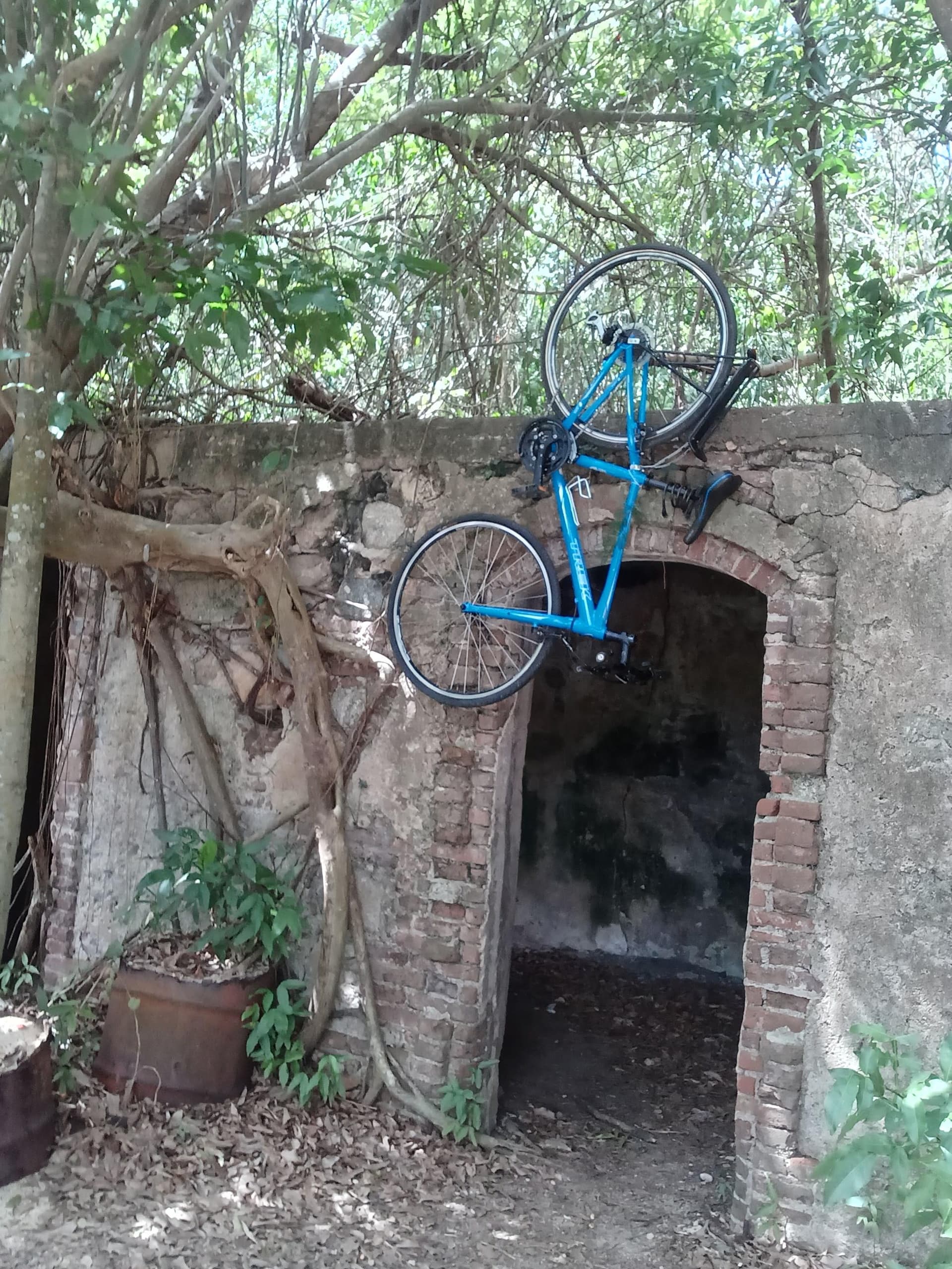 Explore Vieques on the South West Bike & History Tour