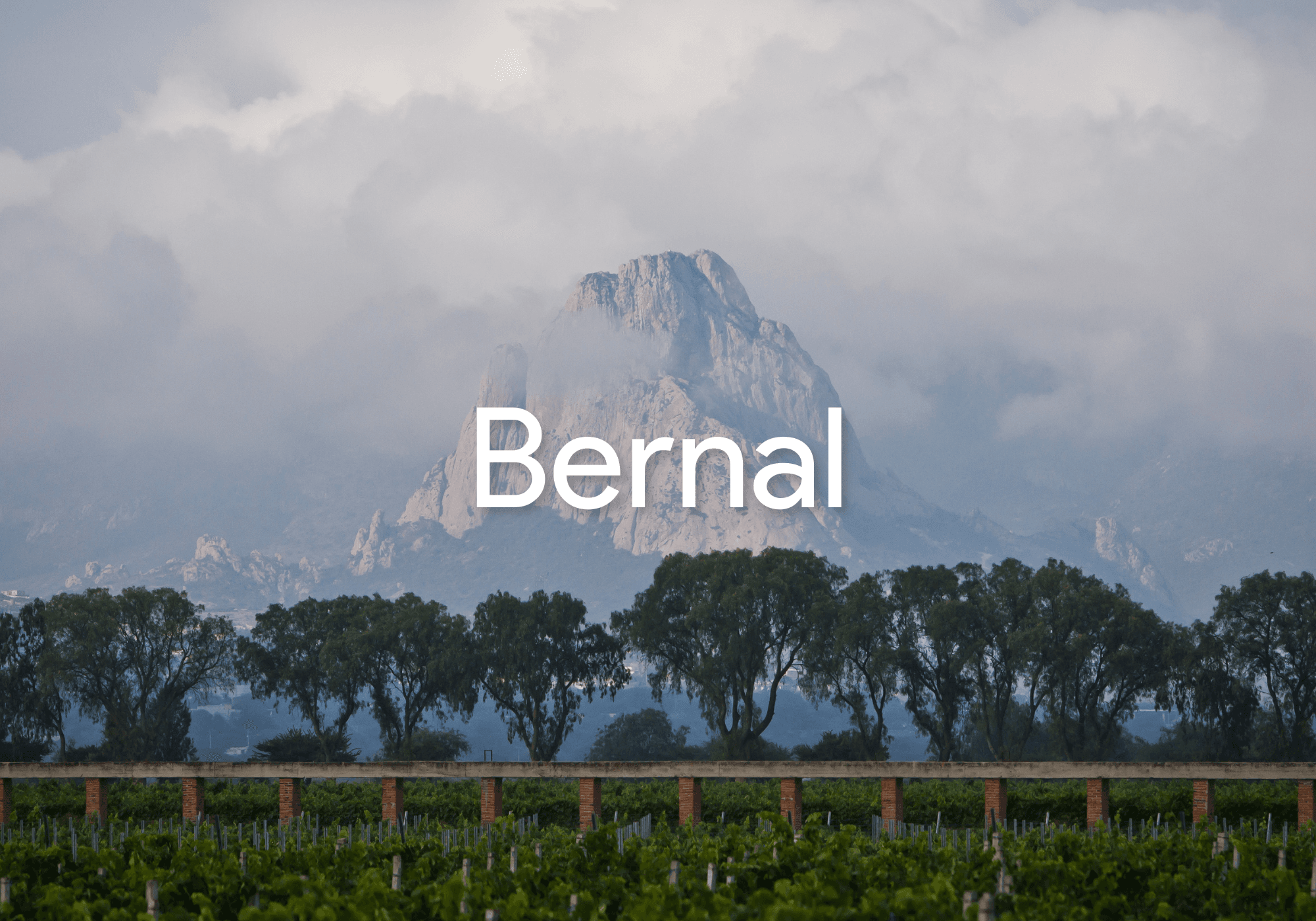 Bernal Adventure & Wine Tasting with Turismo Sin Límites
