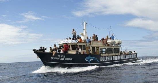 Whale-watching tour boat with passengers on open ocean