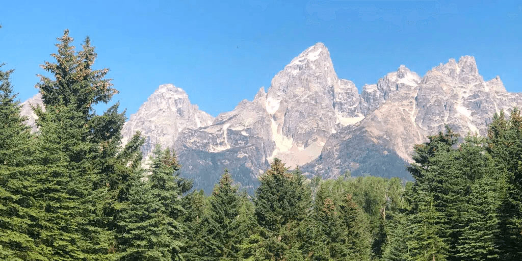 Yellowstone & Grand Teton Private Day Tour Adventure