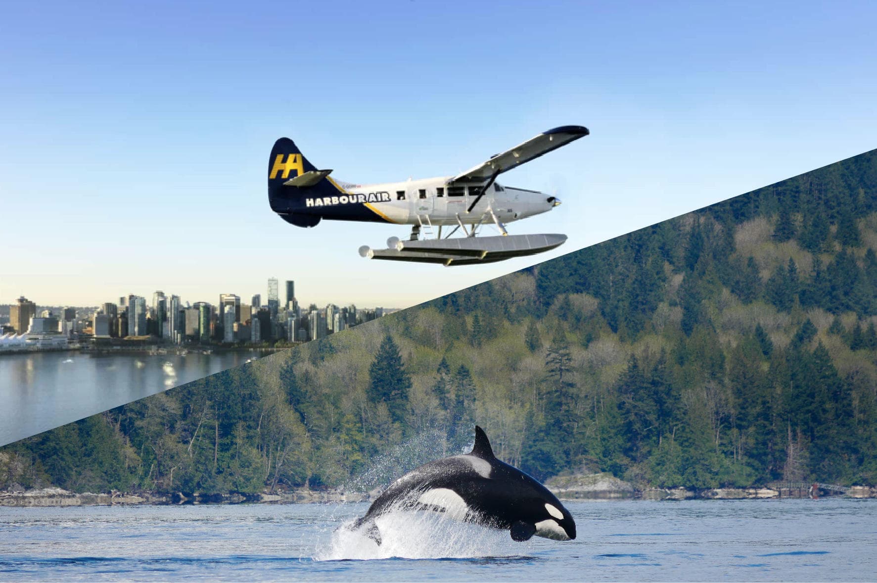 Whale Watching Adventure with Vancouver Island Whale Watch