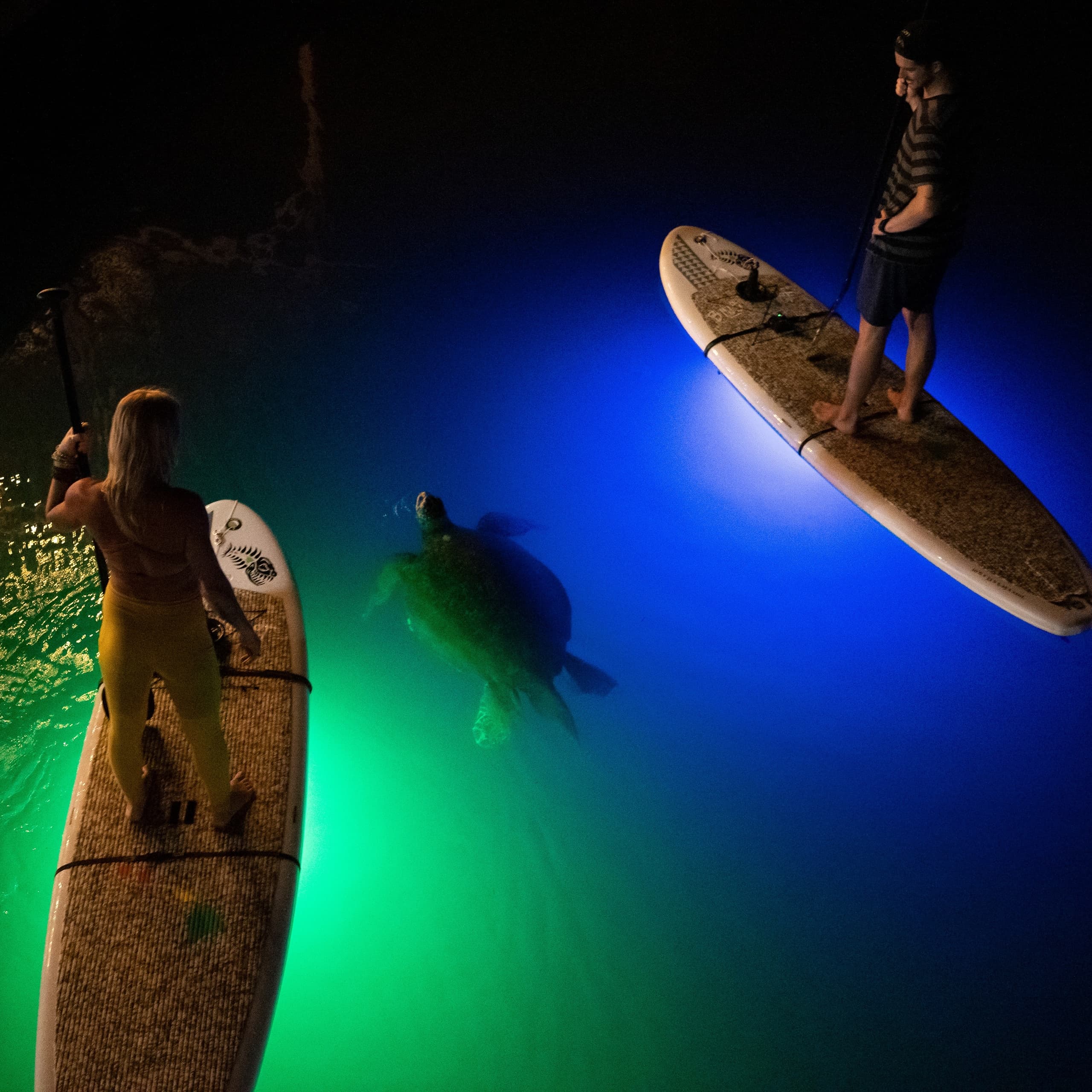 Night stand-up paddleboarding with underwater lights and sea turtle