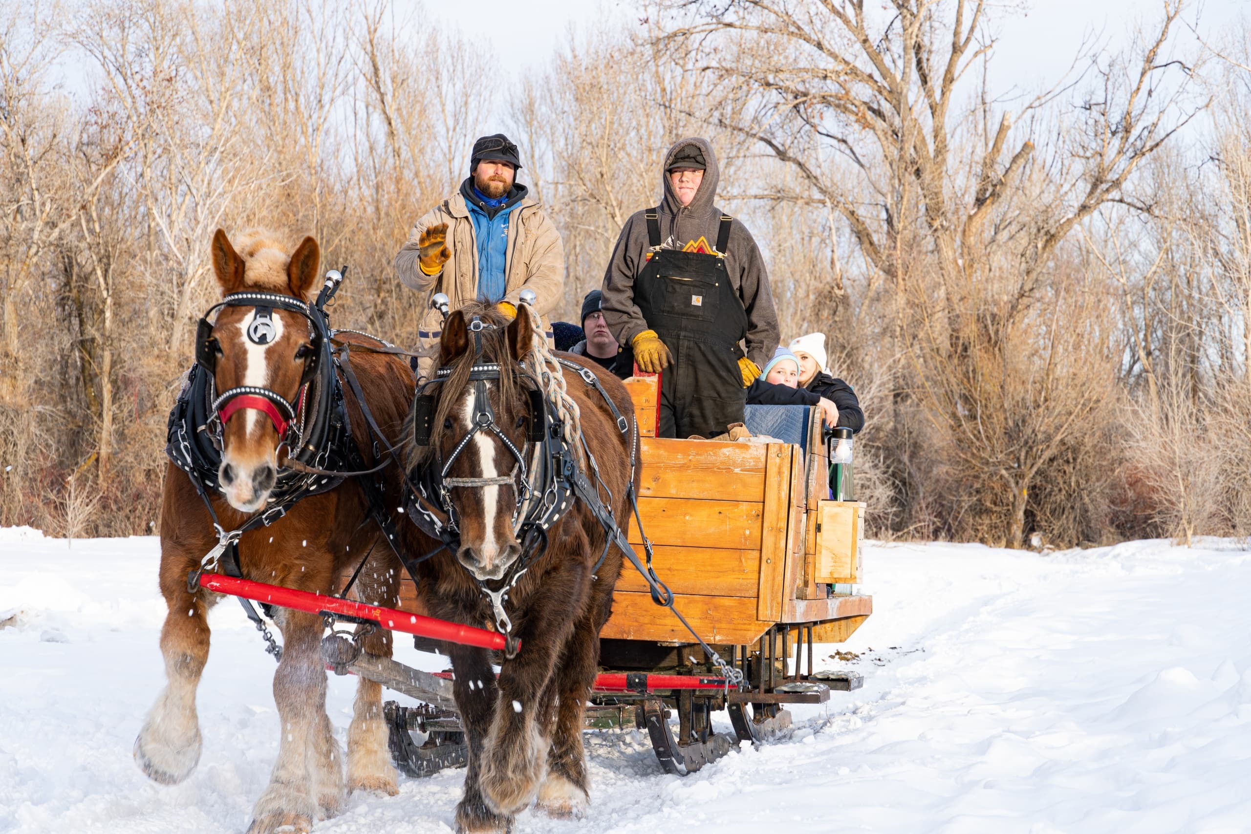 Magical Enchanted Forest Sleigh Ride in Rigby, Idaho