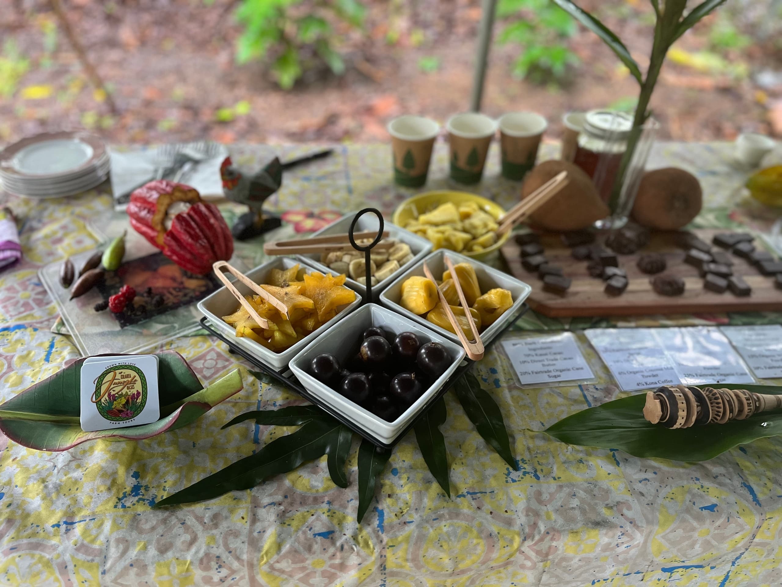 Chocolate Farm Tour at Kilauea Jungle Oasis in Hawaii