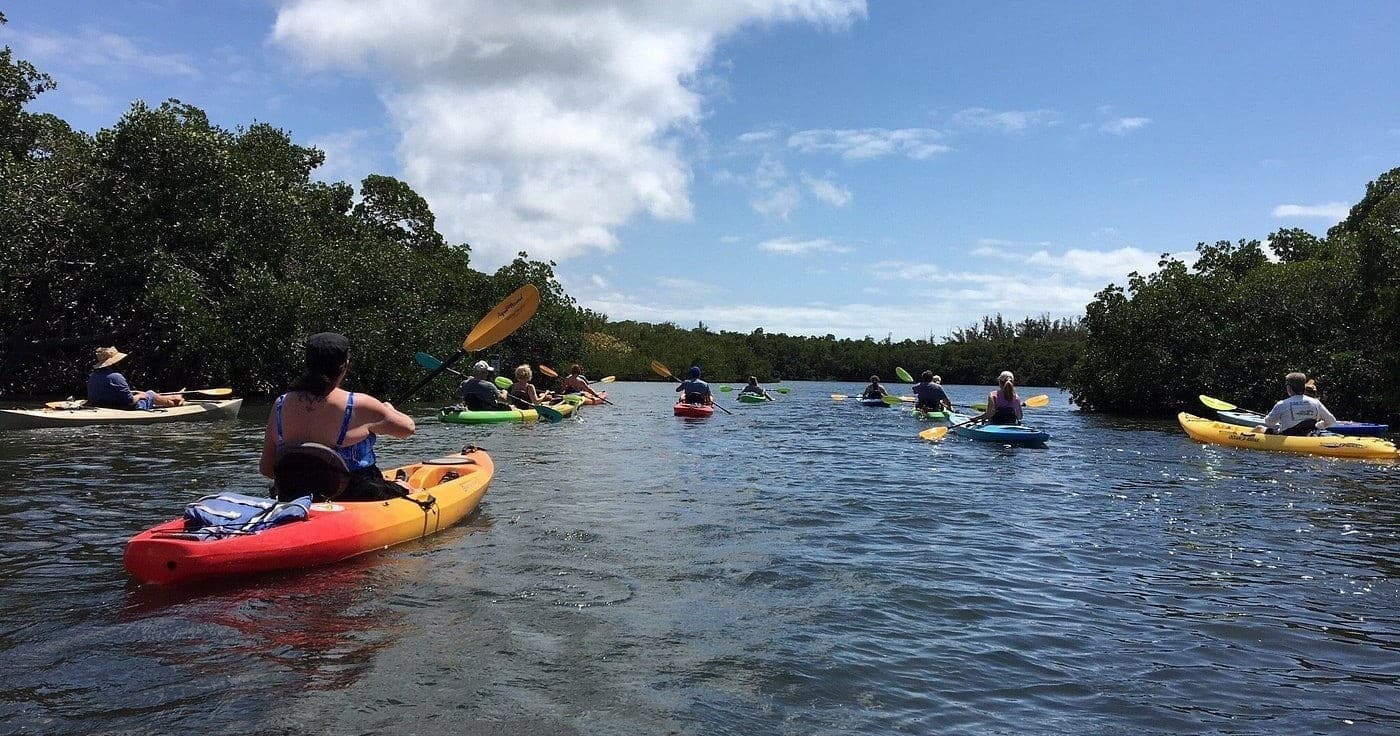Paddle Lido Mangrove Tunnels: 3-Hour Self-Guided Kayak Rental in Sarasota photo 1