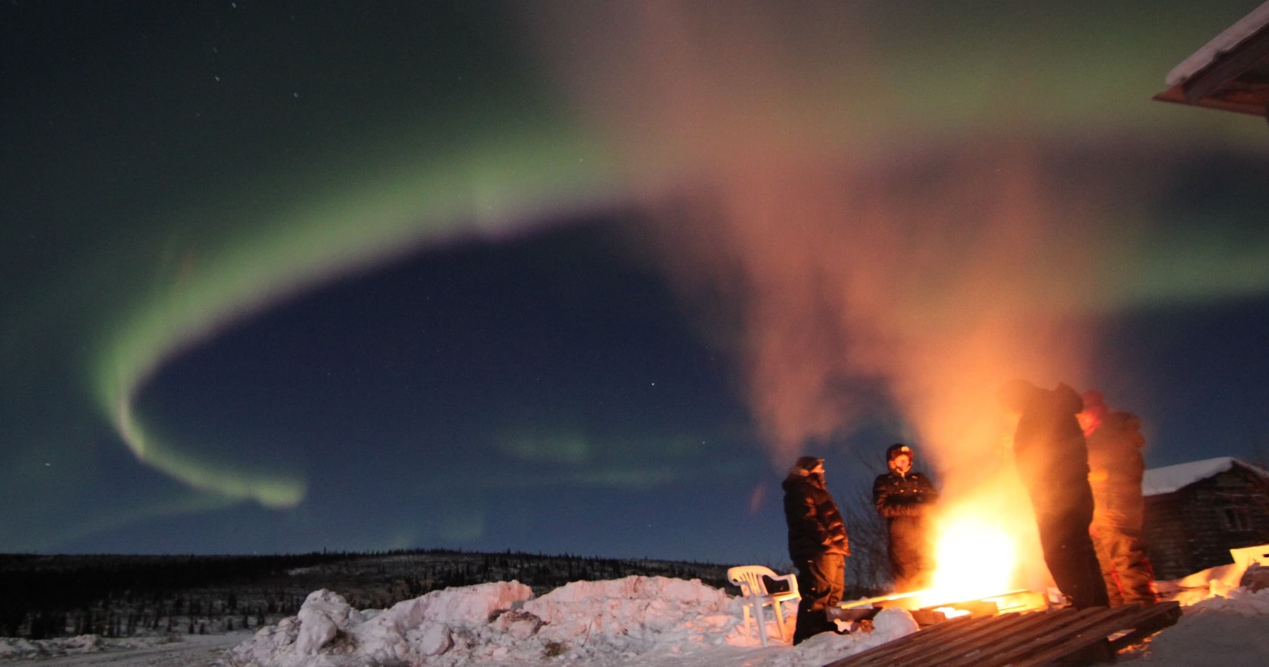 Winter Aurora Dogsled Tour with Squid Acres Kennel in Cantwell