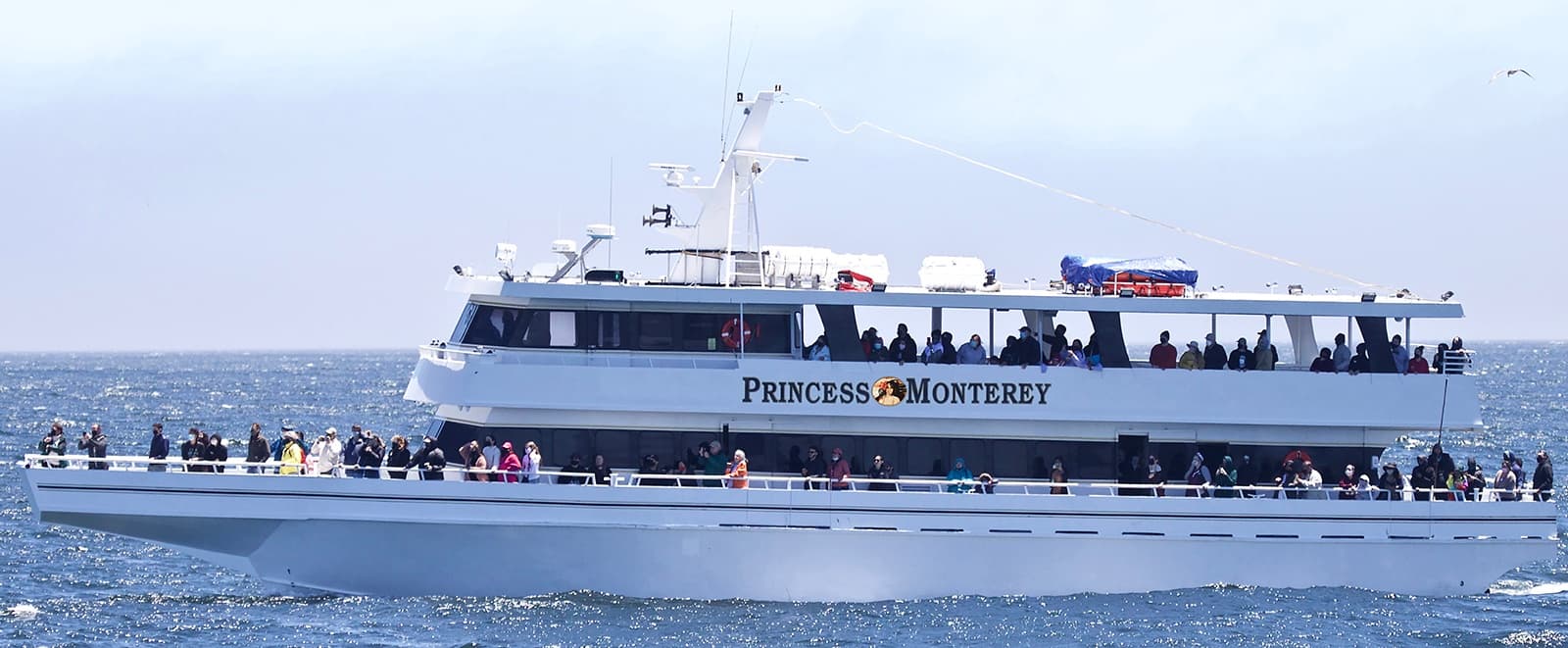 Romantic Valentine's Bay Cruise in Monterey, CA
