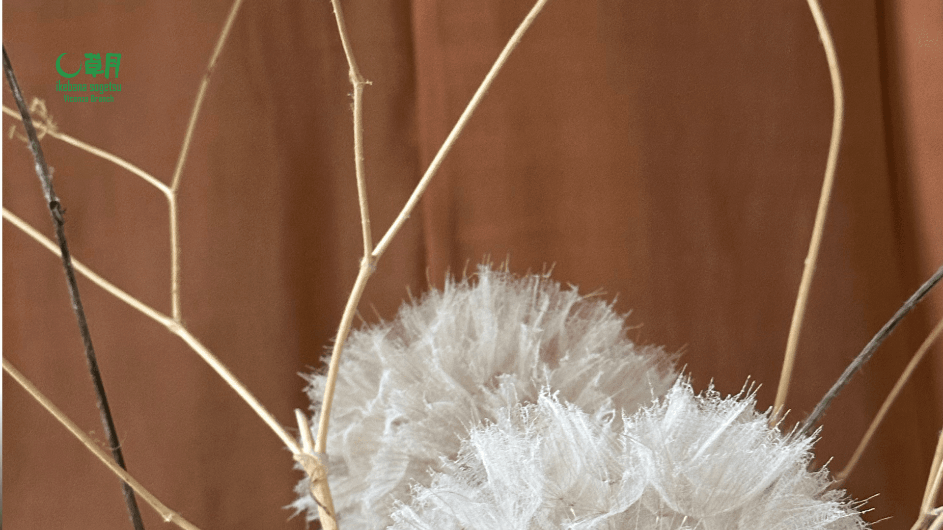 Discover the Ancient Art of Ikebana in Mantova: A Hands-On Workshop Experience