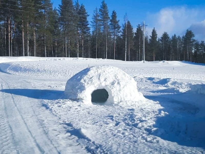Active Family Adventure in Rovaniemi: Husky Rides, Reindeer Sleighs & Mini Snowmobiles
