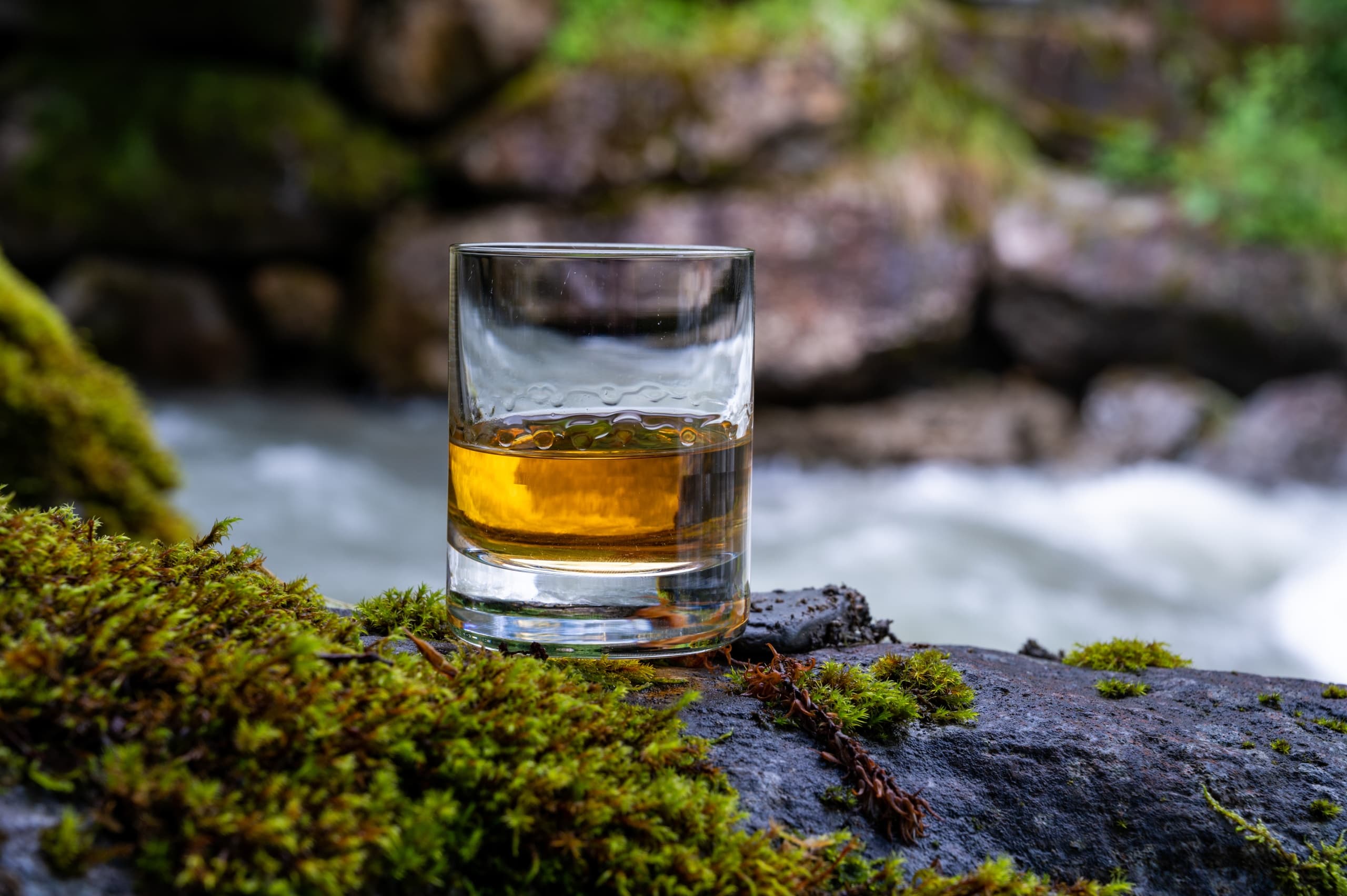 Water Activities & Whisky Tasting: Highland Drams in Invergordon