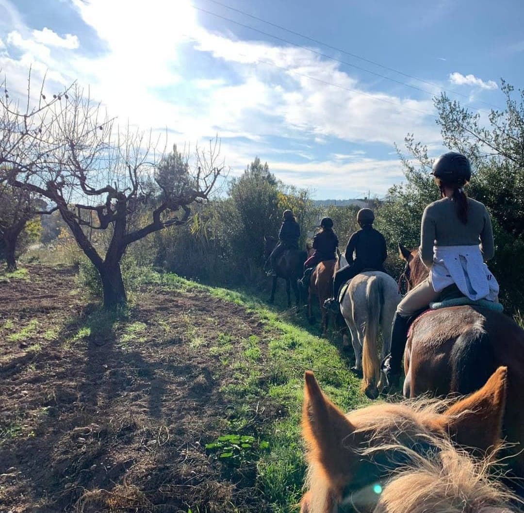 Outdoor Adventures with Unique Tours: Hiking & Horse Riding in Montserrat