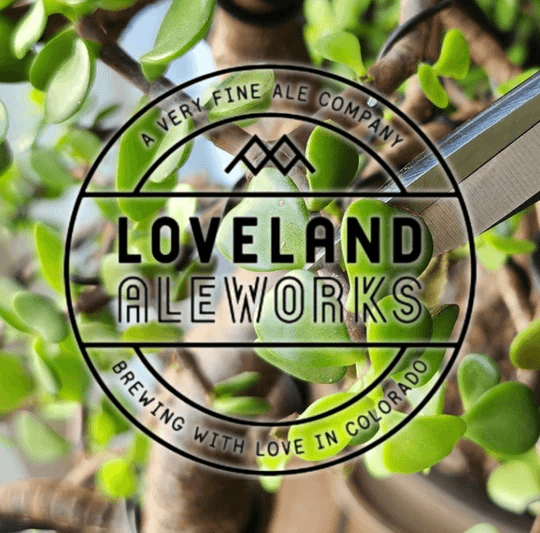 Bonsai Bar @ Loveland Aleworks — Craft a Tiny Tree at a Colorado Taproom