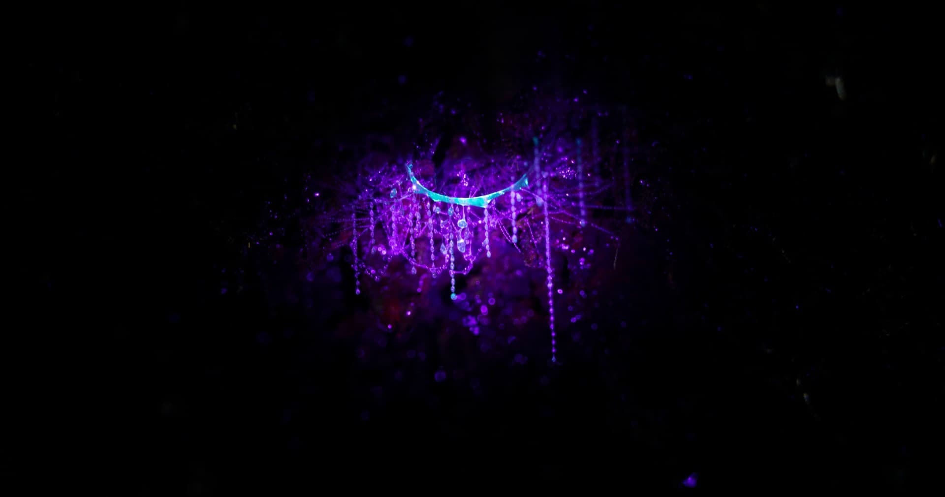 Abstract purple neon light art on dark background, decorative