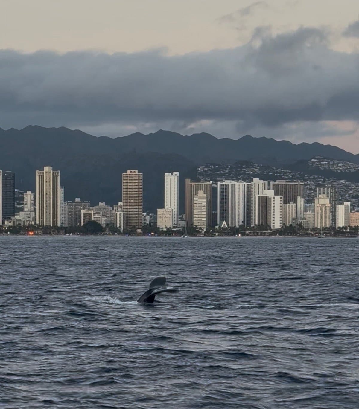 Waikiki BYOB Sunset Cruise: Diamond Head Views from Kewalo Basin photo 4