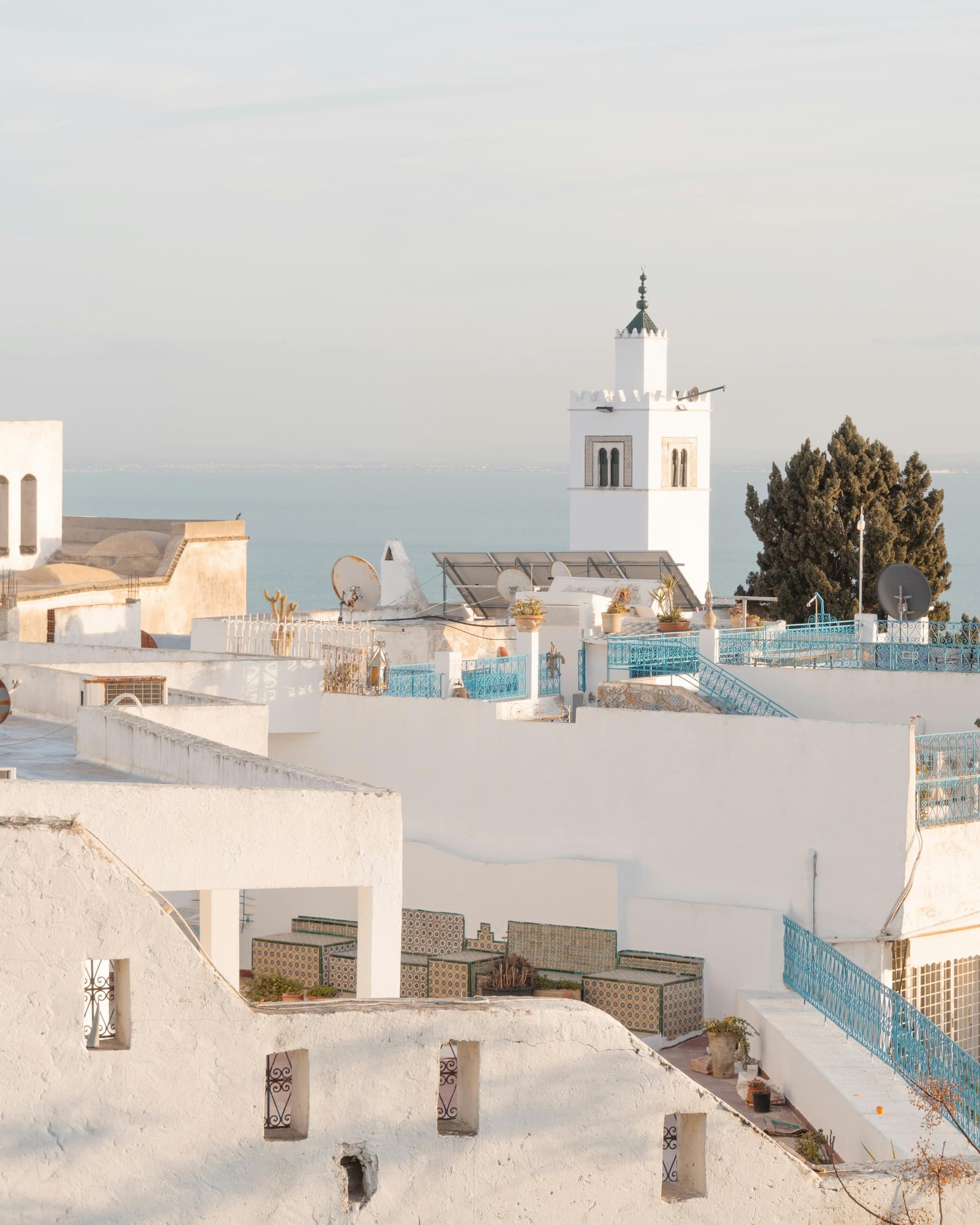 Explore Ancient Carthage and the Blue Village of Sidi Bou Saïd on a 4-Hour Guided Tour