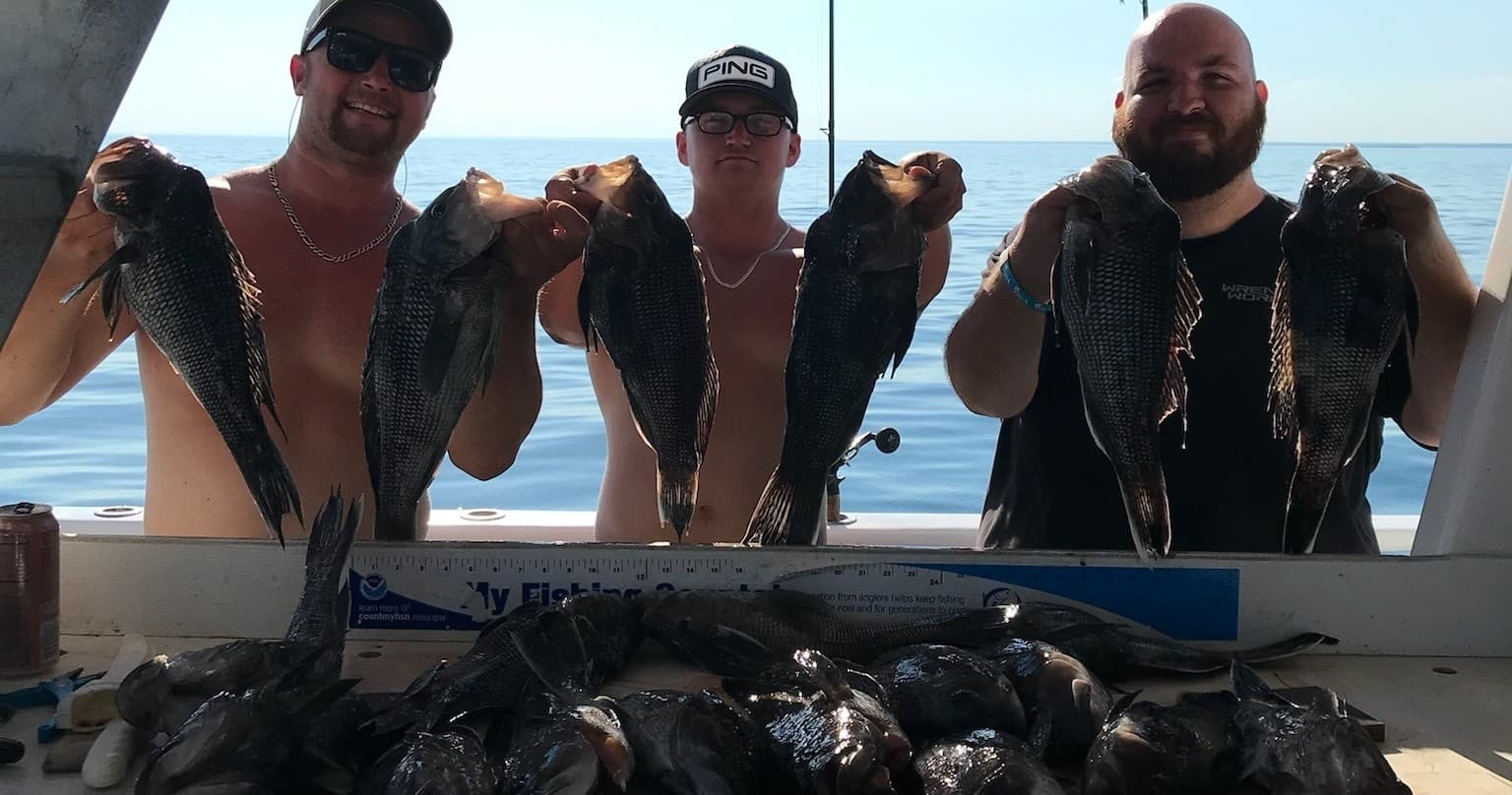 Group of anglers displaying black sea bass catch on boat deck
