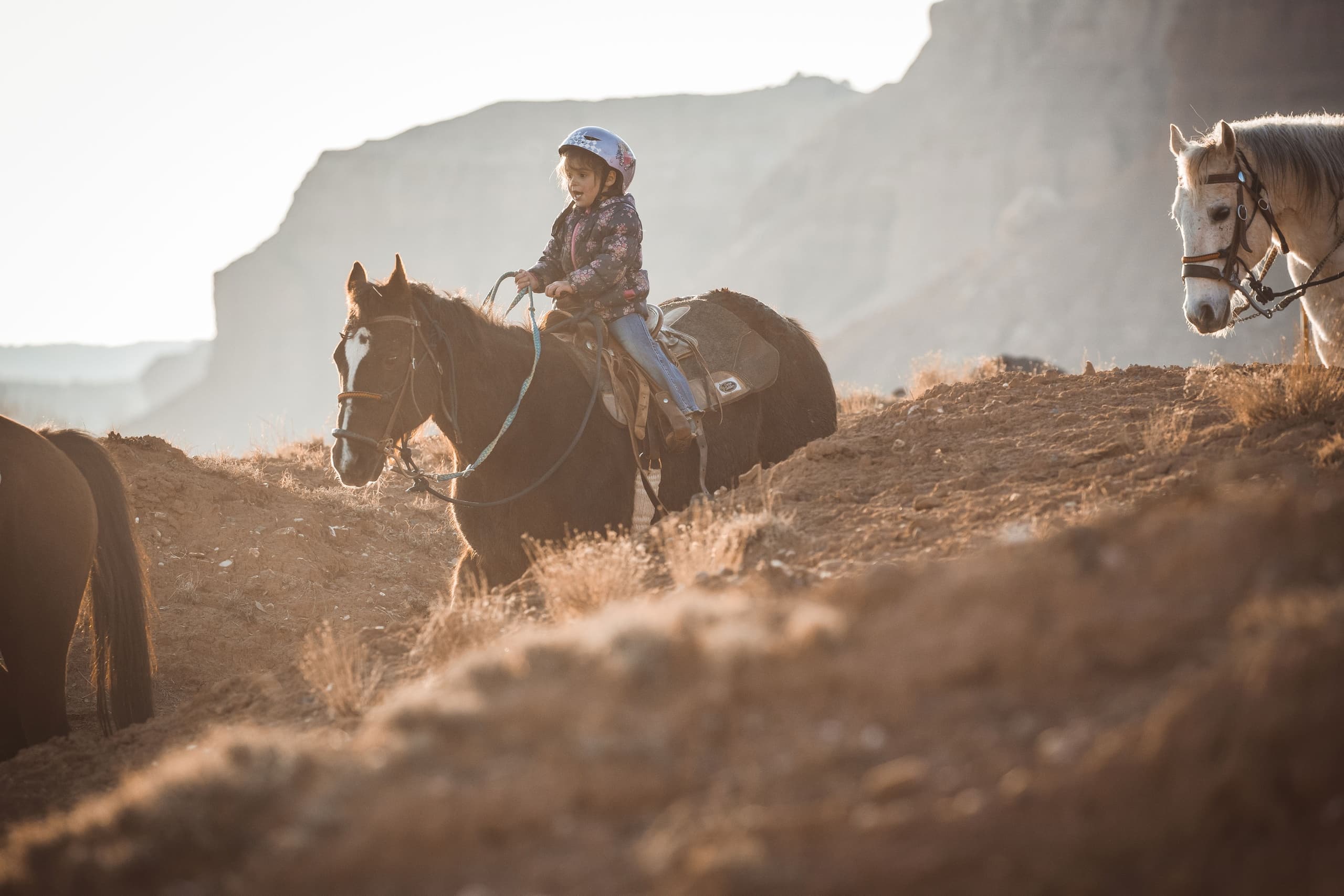 1 Hour Guided Horse Ride Through Torrey's Scenic Trails