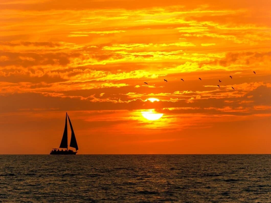 Sailboat silhouetted at sunset over open ocean with birds