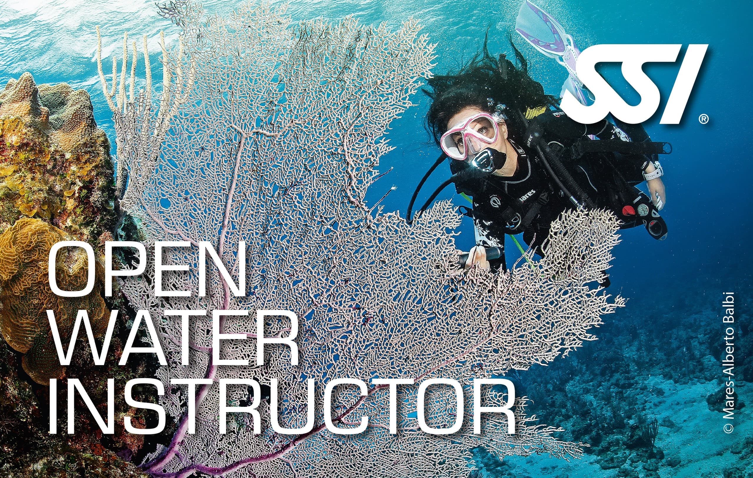 Become an SSI Open Water Instructor: Intensive ITC in Orlando, Florida