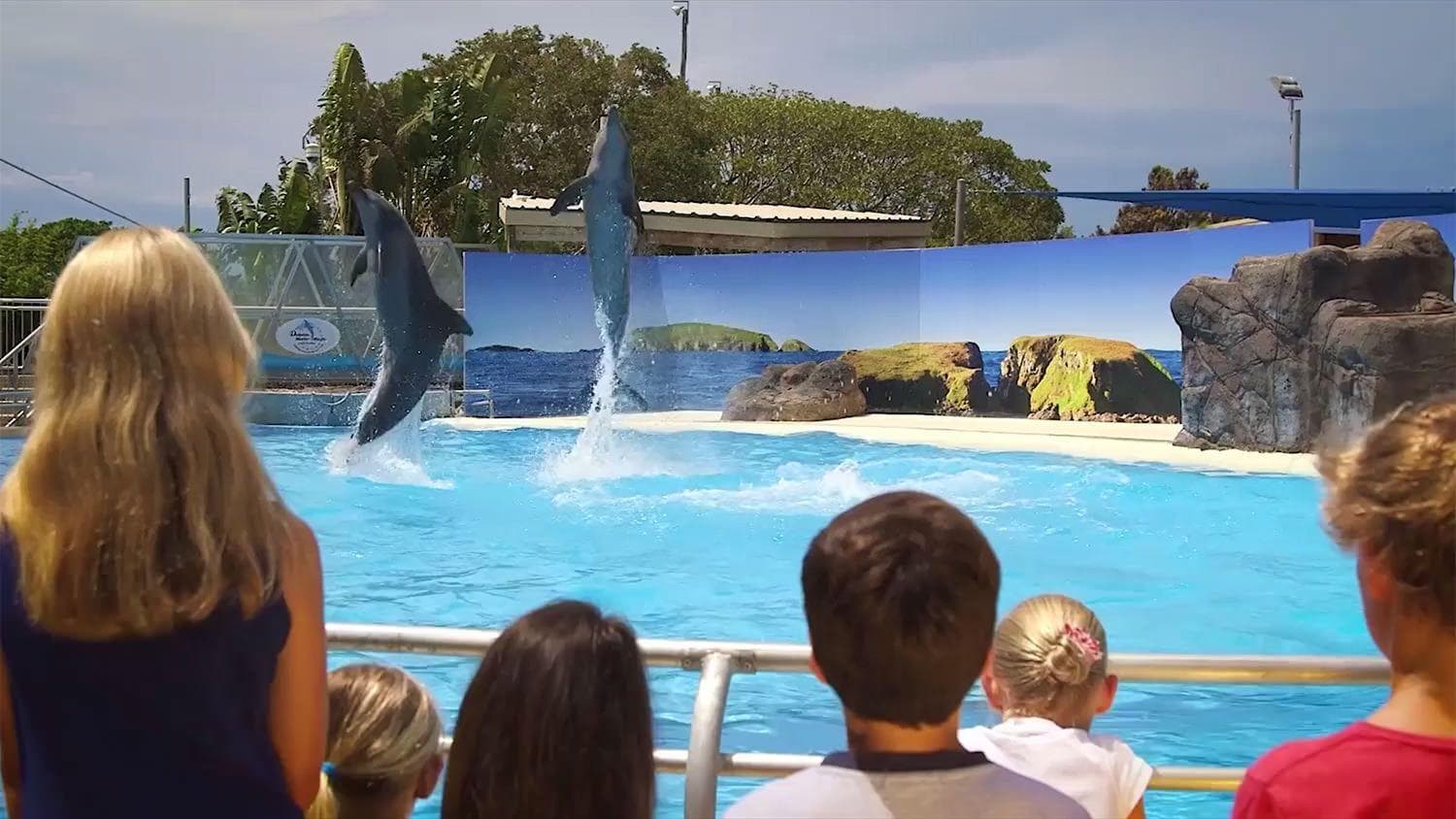 Family watching dolphin show at outdoor marine stadium pool