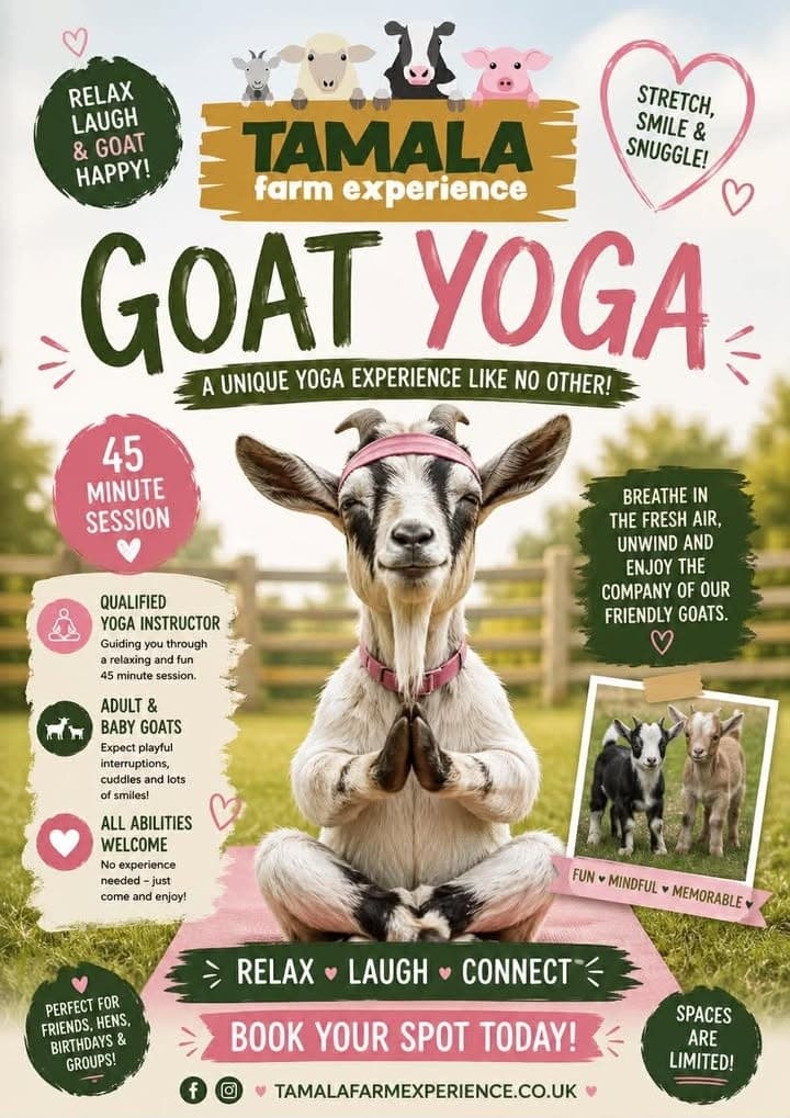 Goat Yoga at Tamala Farm Experience: 45-Minute Outdoor Class in Whitecairns photo 1