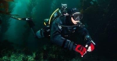 Avelo RAD 1-Day Dive Course: Try Catalina Island’s Next-Gen Scuba in Avalon