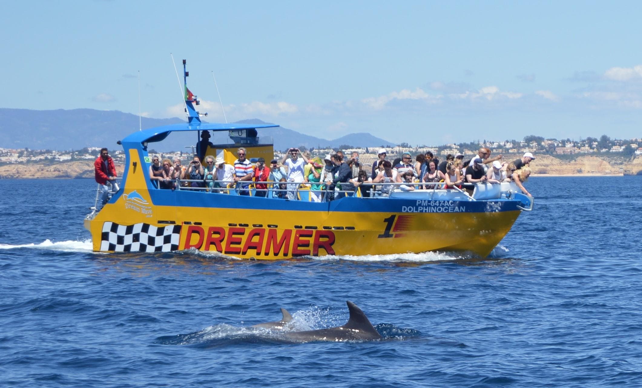 Dreamer boat dolphin-watching tour along rocky Algarve coastline