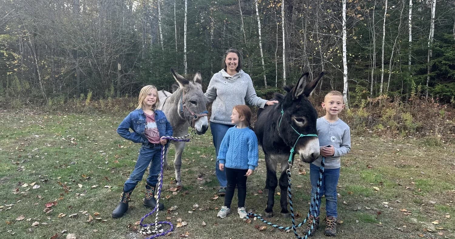 Donkey Walks and Pasture Visits in Searsport, Maine — Guided Gentle Farm Experiences