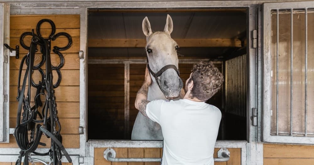 Vienna Fiaker Horse Tours with Riding Dinner