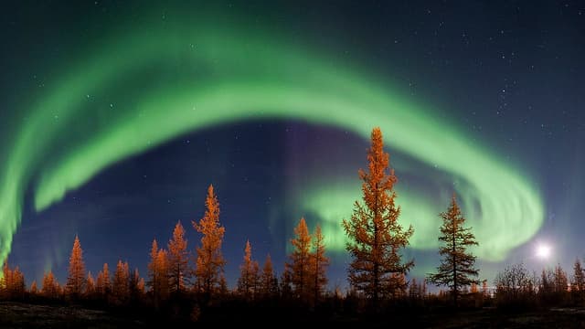 Experience the Northern Lights by Dogsled in Yellowknife’s Winter Wilderness