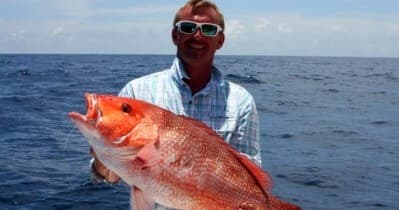Deep-Sea Fishing with Chipper's Clipper in Orange Beach