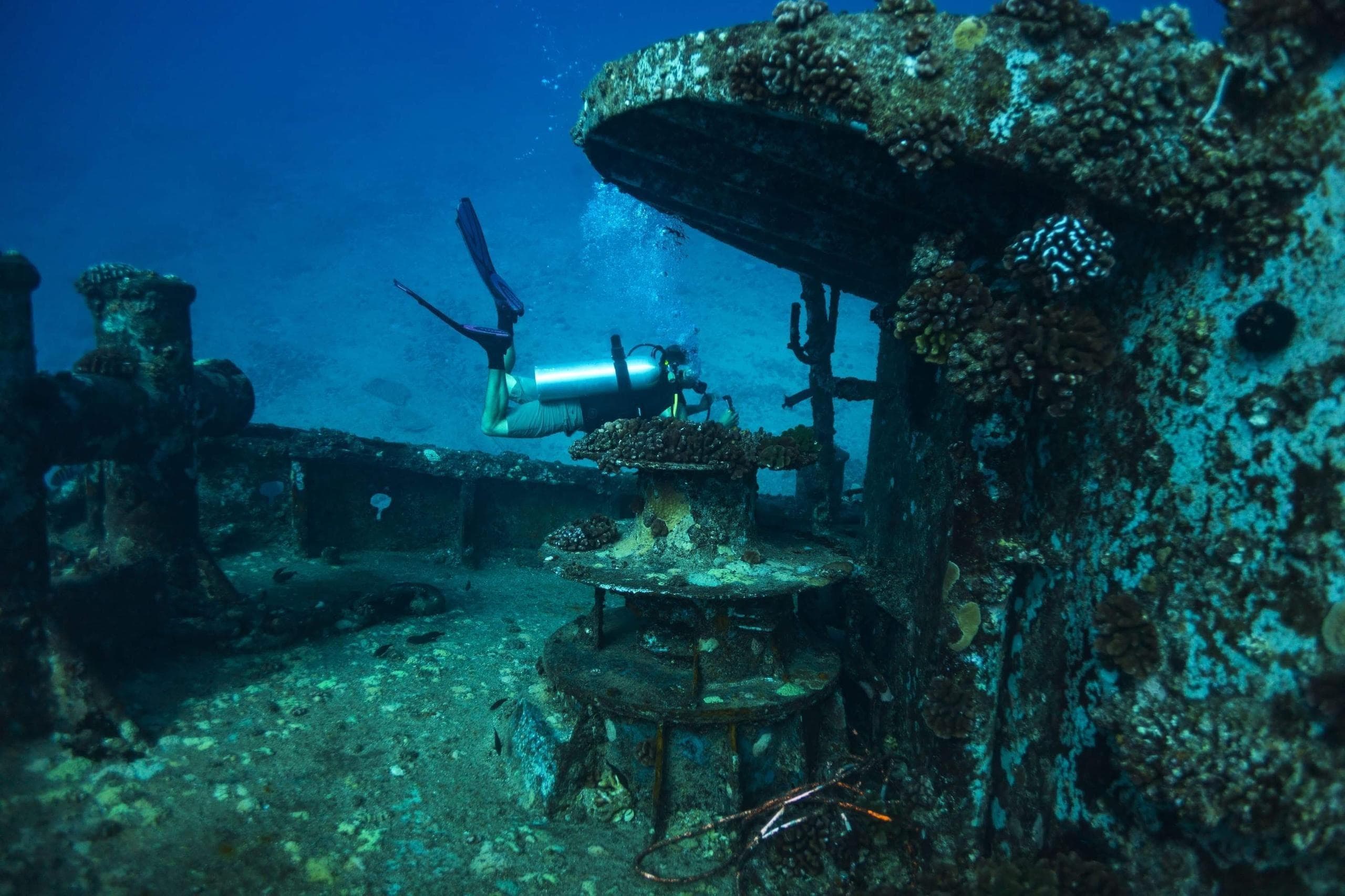 Thrilling Night Dive in Honolulu with Aloha Scuba