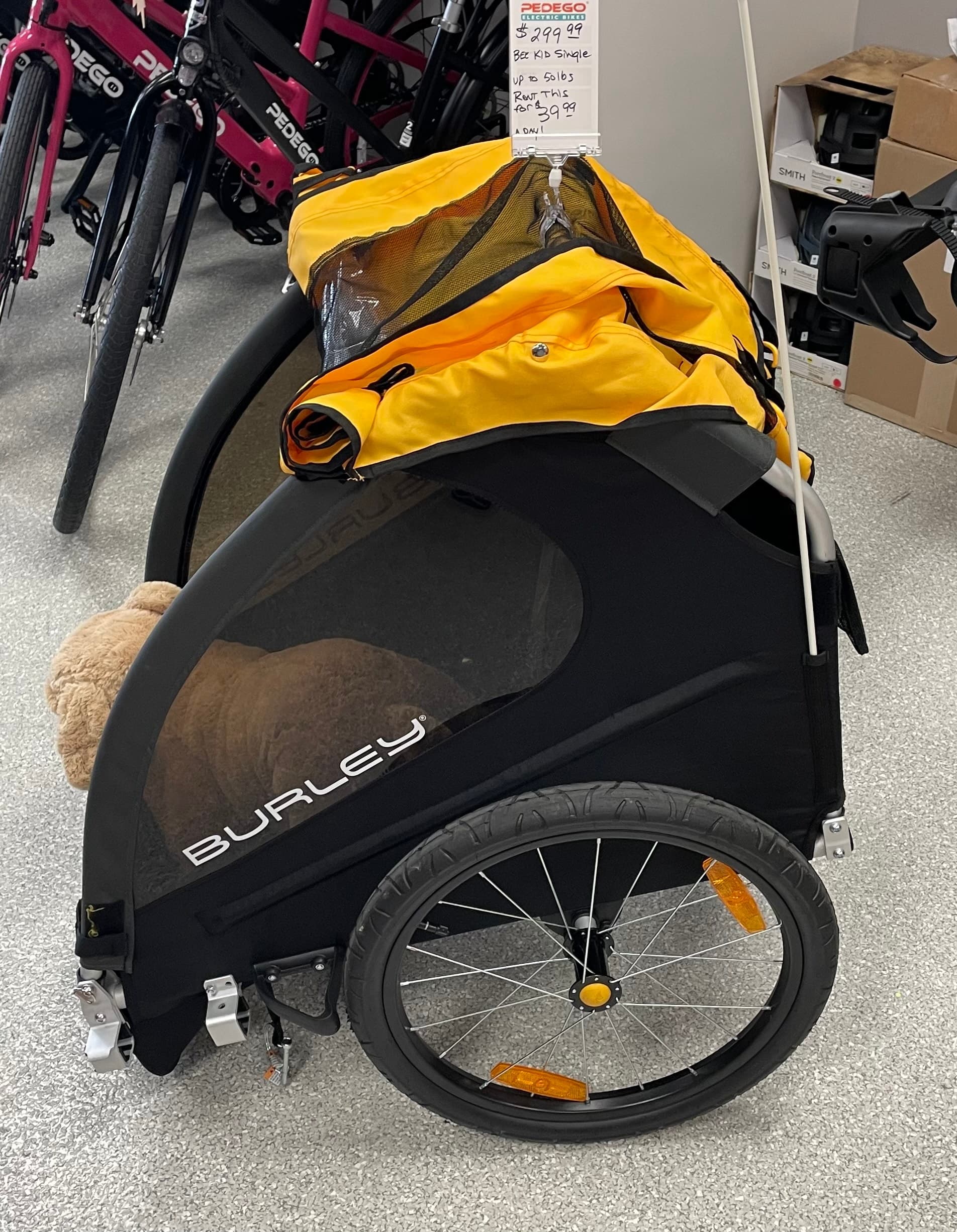 Pet-Friendly Burley Cart Adventures with Pedego Electric Bikes Dunedin in Odessa