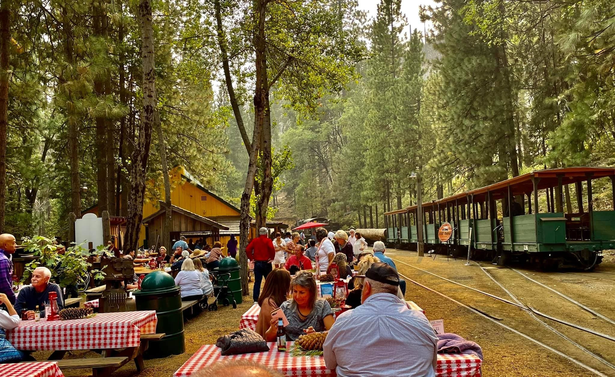 Yosemite Mountain Sugar Pine Railroad fleet