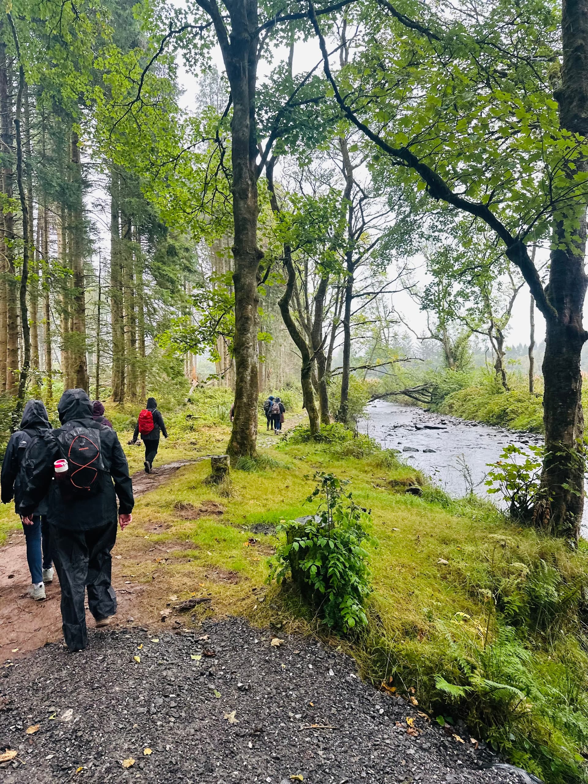 Brecon Beacons Rail & Valley Walk: Taf Fechan, Reservoir Ruins & Dramatic Views photo 4