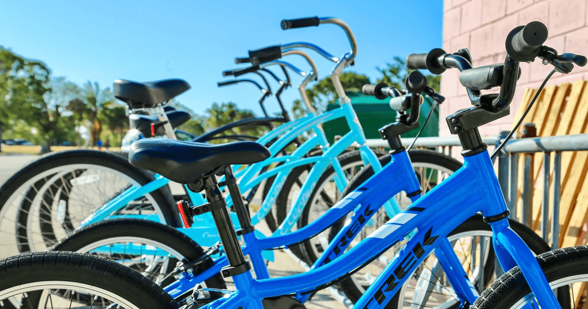 4 Hour Bike Rental in Homestead, Florida Adventure