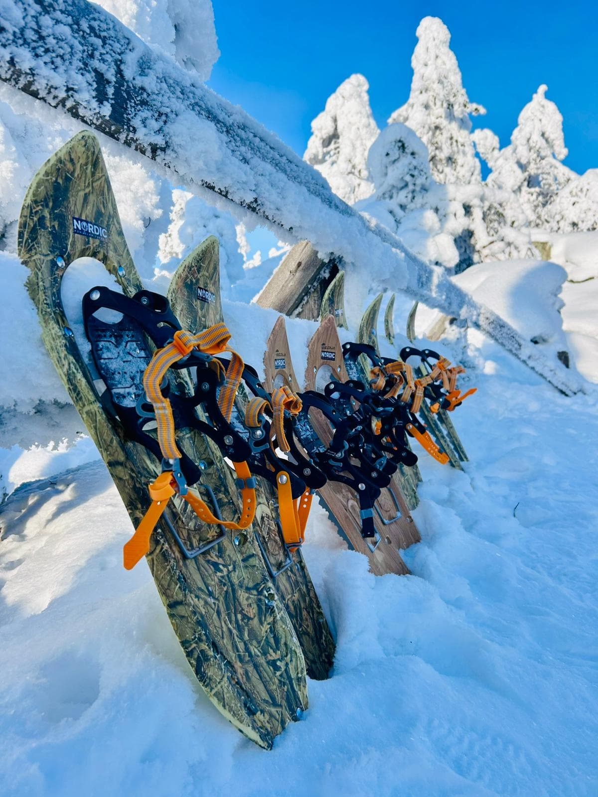Nordic Safaris Ltd fleet