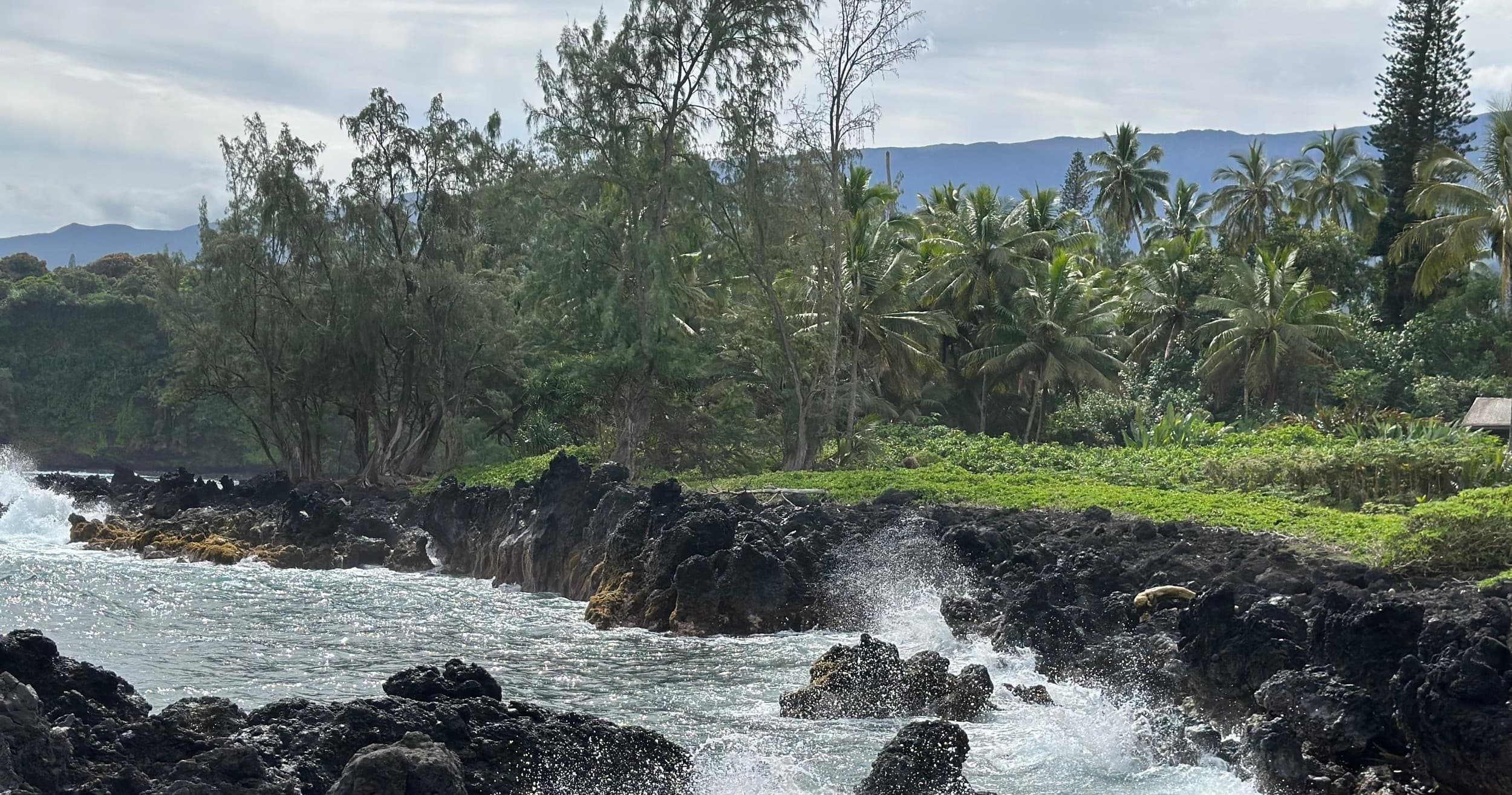 Pono Private Excursions fleet