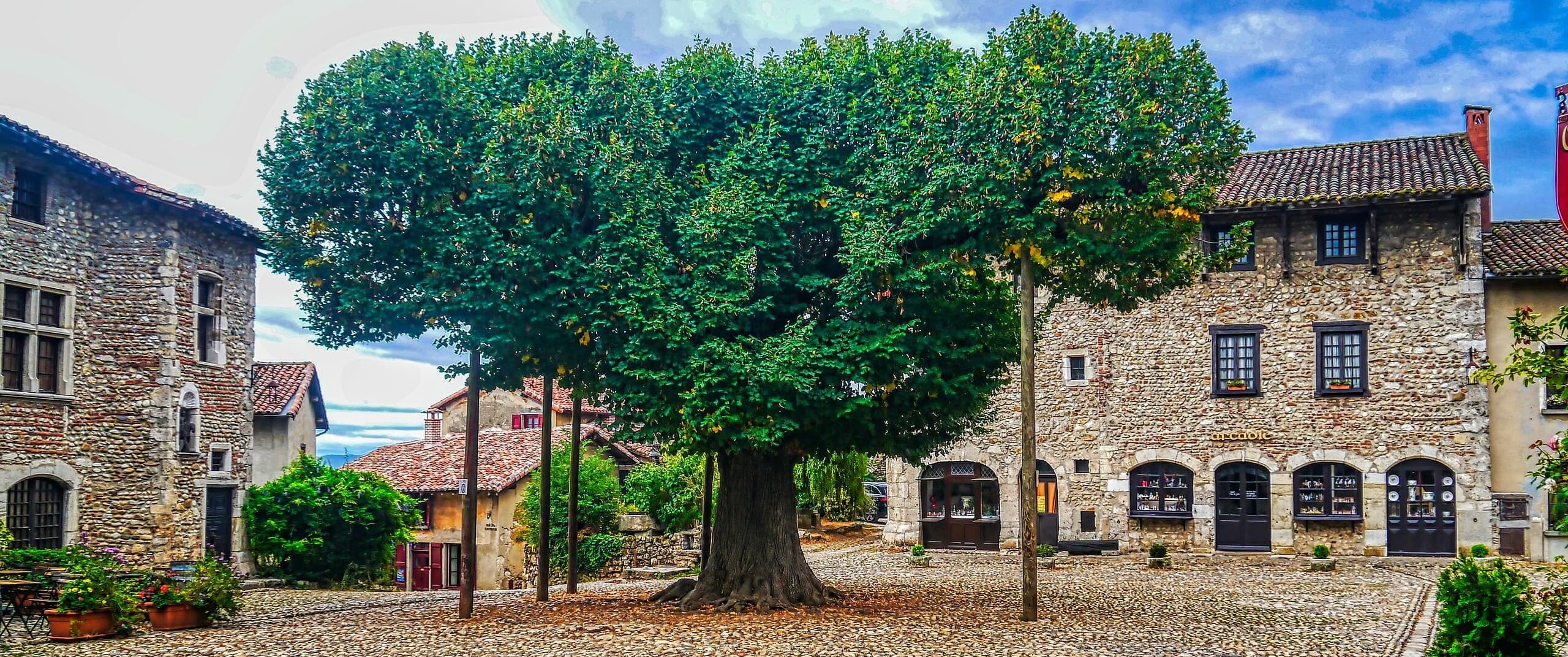 Medieval Village Walks & Cultural Savoring near Lyon