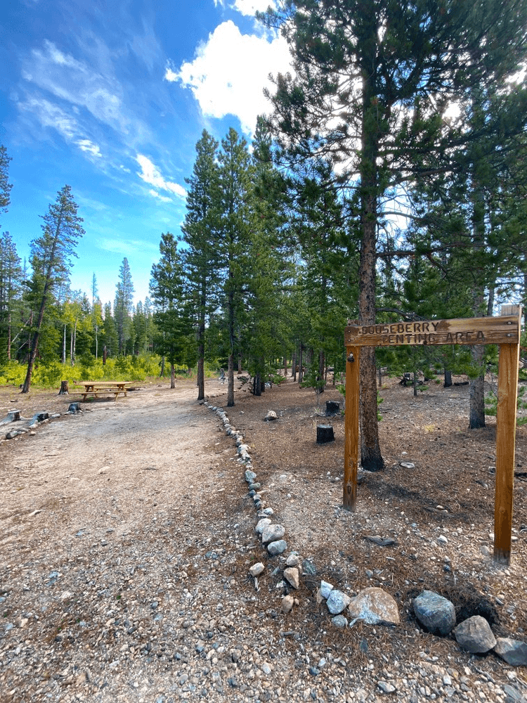 Tent Camping Adventure in Bellvue, Colorado