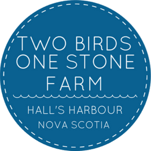 Hall's Harbour Sunflower Experience: Five-Acre Sunflower Field Overlooking the Bay of Fundy photo 1