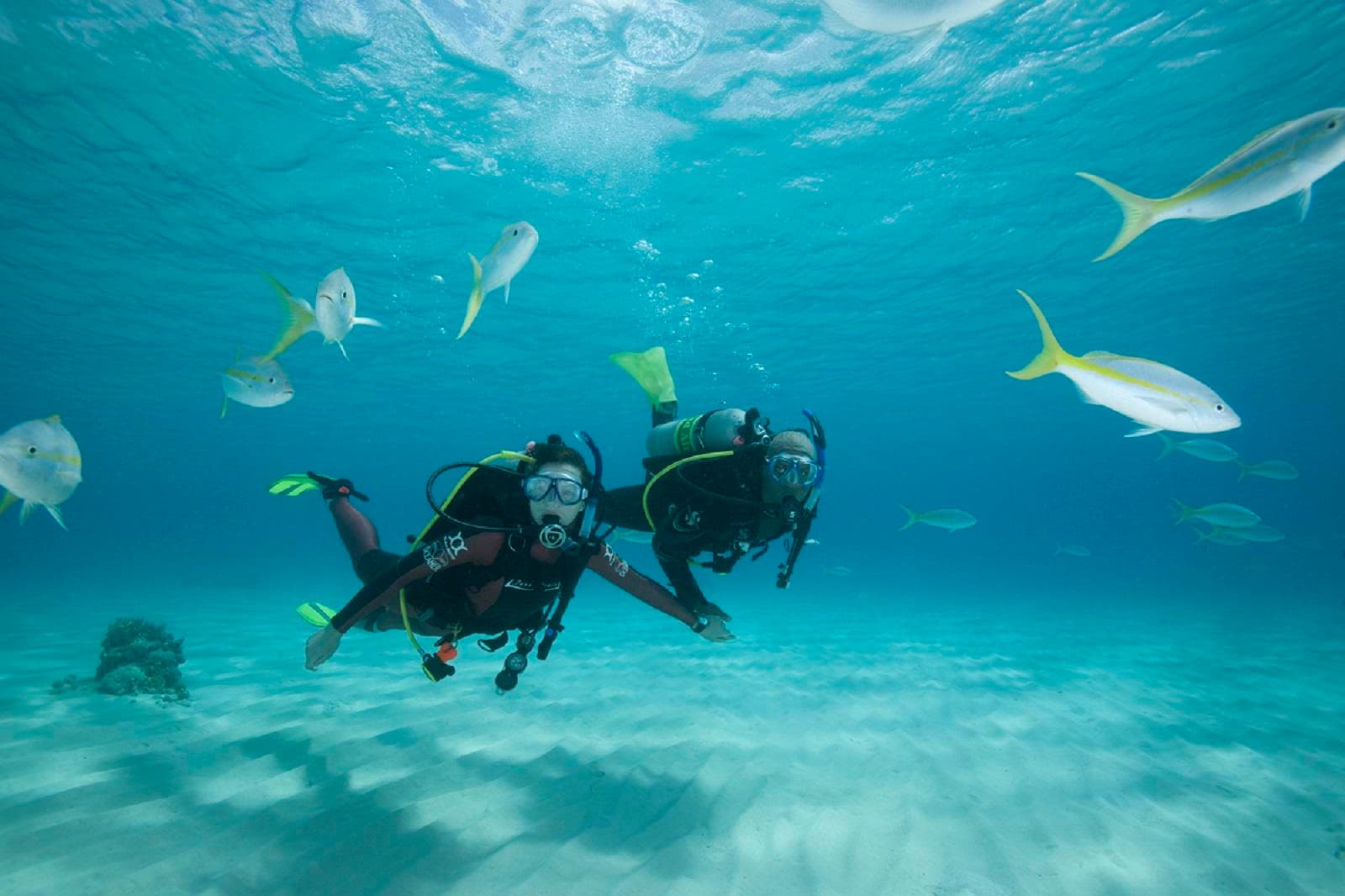 Blue Water Diving team