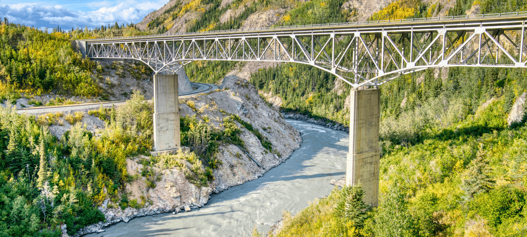 Train-to-Lodge Shuttle: Denali Depot to Grizzly Bear Resort photo 1