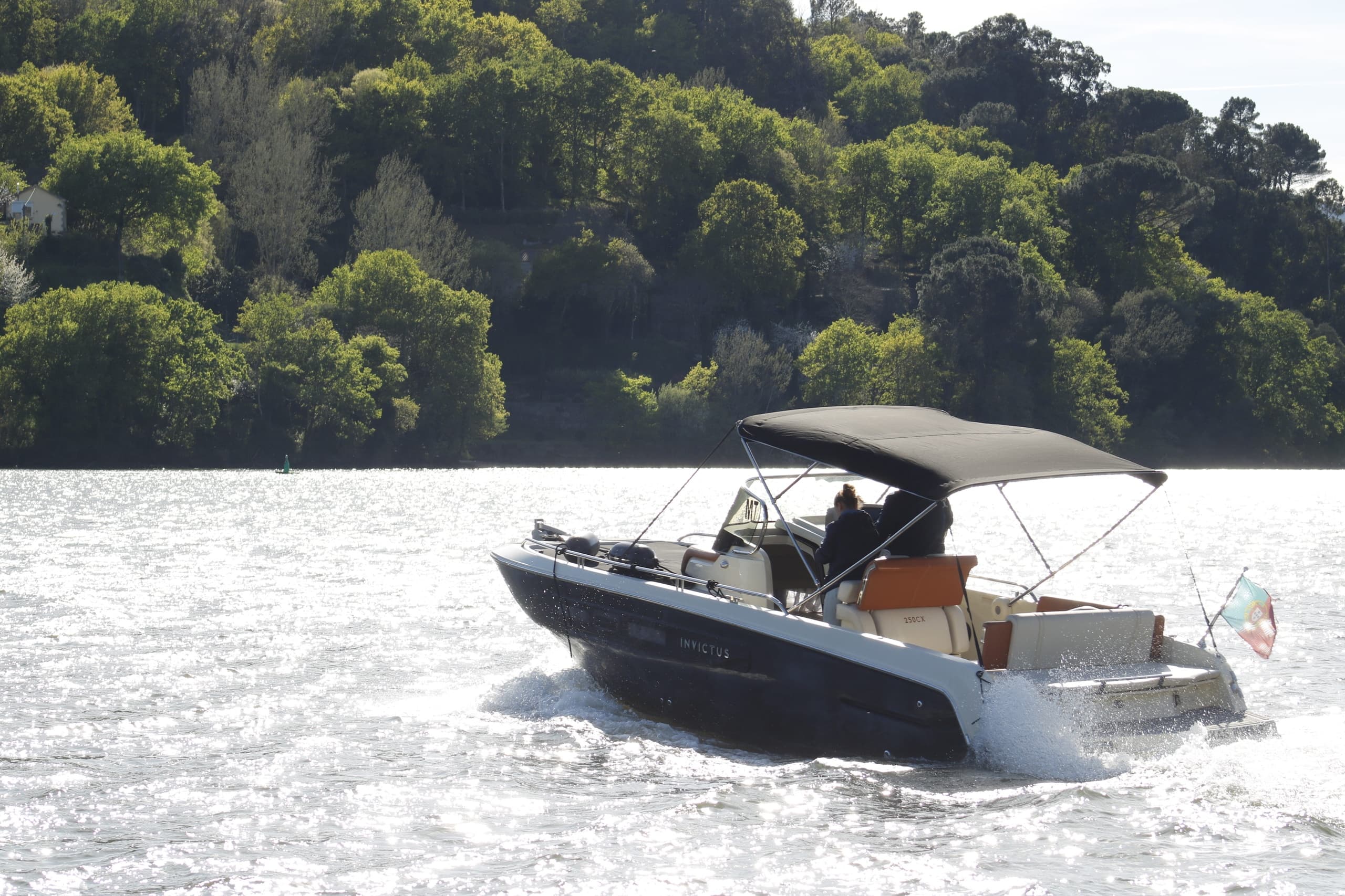 Full-Day Douro Cruise from Ribadouro to Régua: Invictus River Experience photo 3