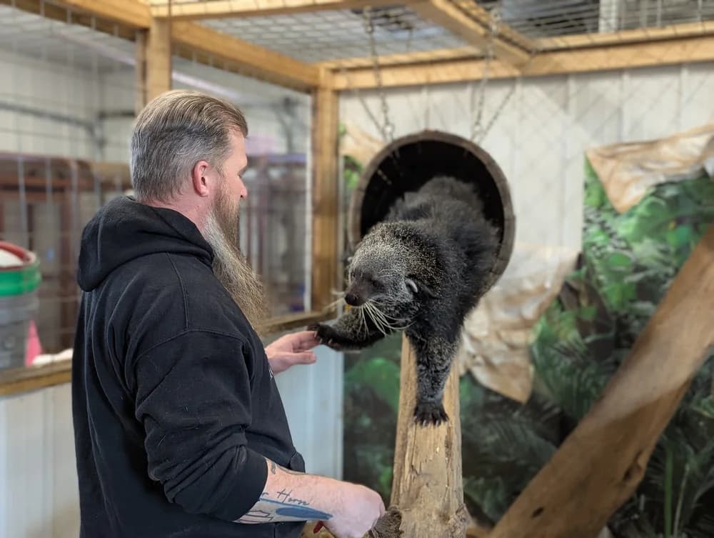 VIP Animal Encounters: Behind-the-Scenes Tour at Paws and Claws Encounters in Bremen, Ohio